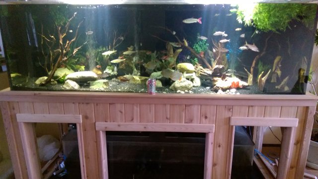 400 gallon aquarium best sale