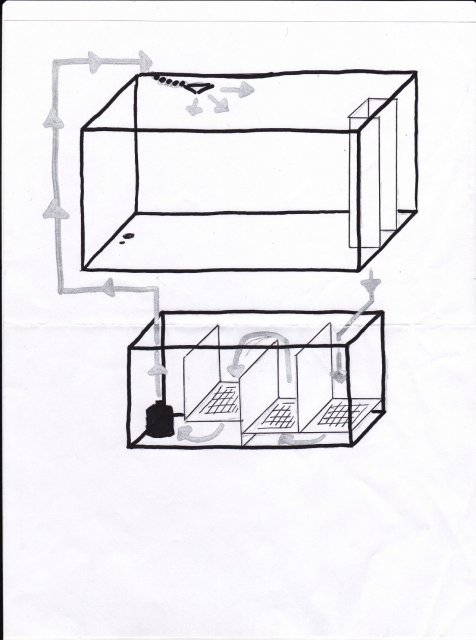 tankdiagram2.jpg