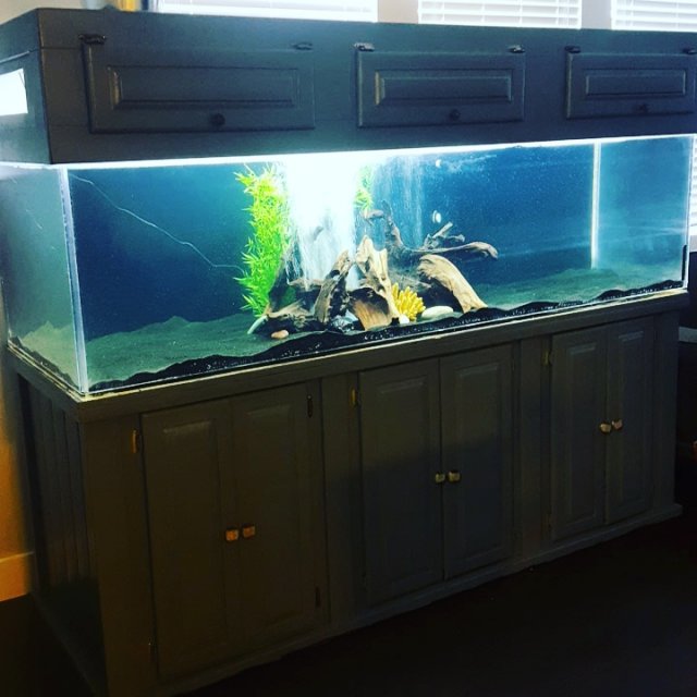 FS | 300 gallon acrylic tank/stand/canopy/sump | $1000 | San Diego ...