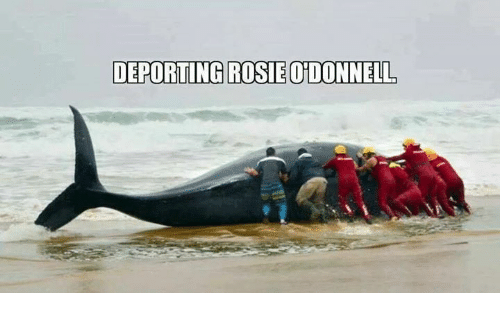 deporting-rosie-odonnell-27280828.png