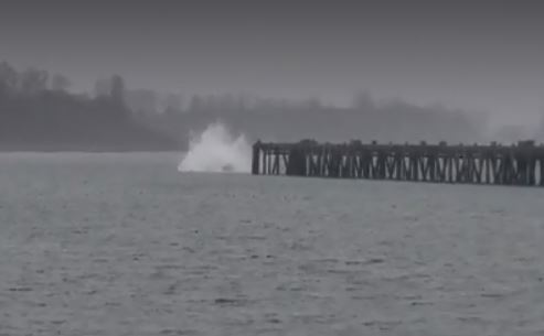 oregon-pier.jpg