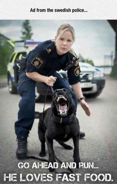 Swedish_police_dog_fast_food.jpg