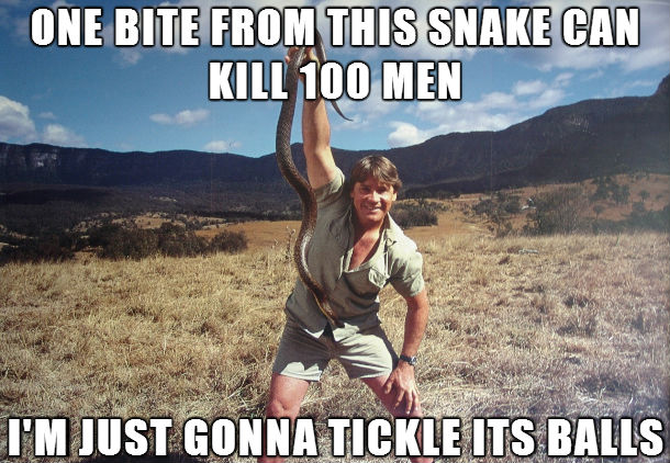 no-fear-steve-irwin.jpg