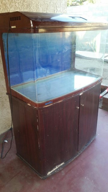 FS 6o gallon Jebo and 2 29 Gallon fish tanks 150 San Fernando Pickup MonsterFishKeepers