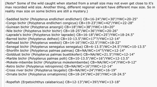 BIchir sizes.jpg