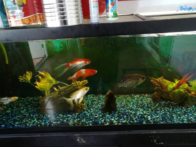 125Gallon.jpg
