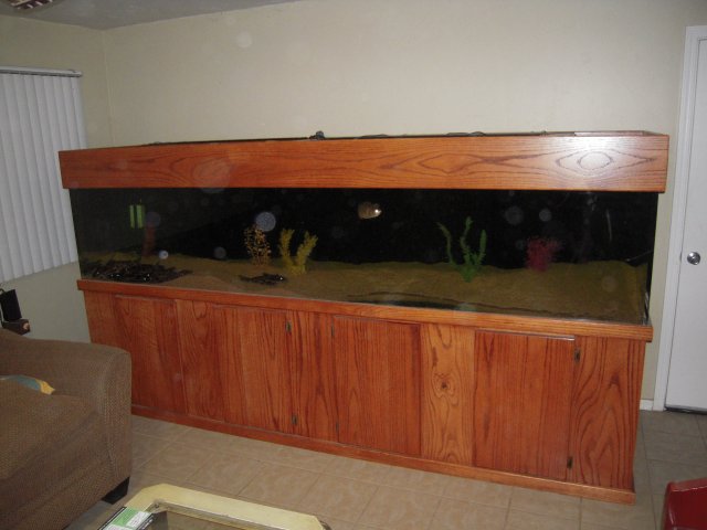 FS | 450 gallon fish tank with fish and equipment | $2500 | escondido ...