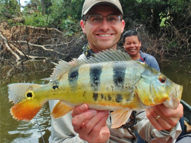 Puerto Rico Peacock Bass Fishing