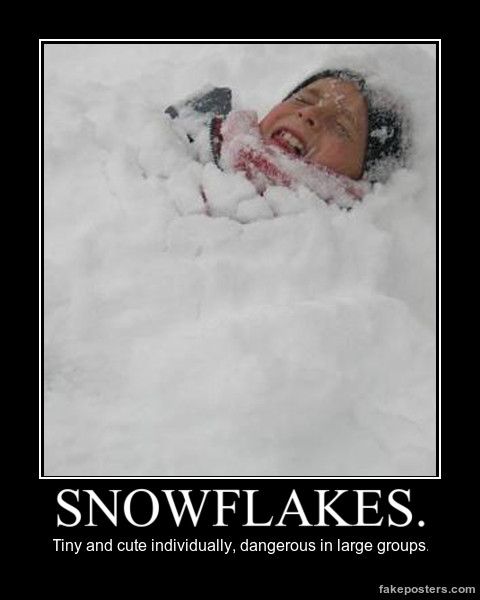 6d7224b0e0aba2f02d92a2bfcb7de94c--snowflakes-funny-posters.jpg