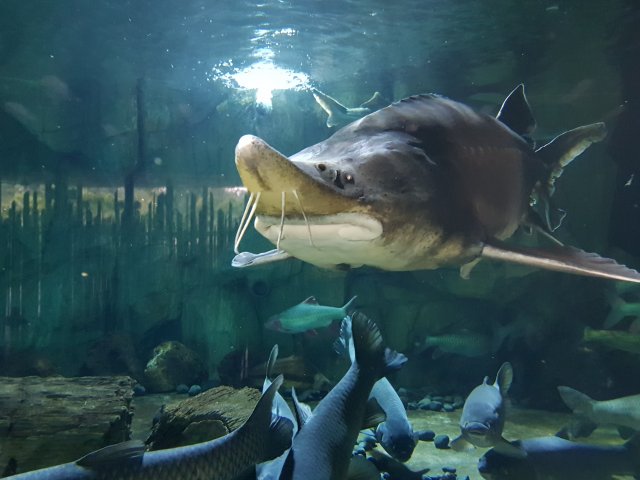 20180908_145137.jpg