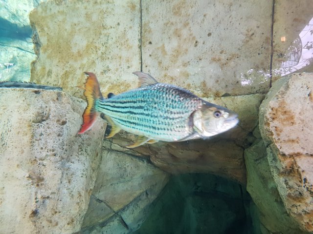 20180908_151603.jpg