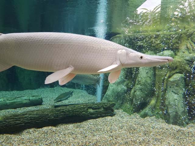 20180908_152320.jpg