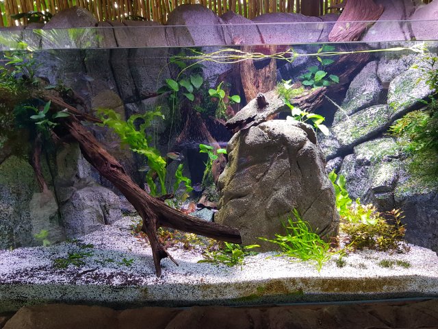 20180908_152025.jpg