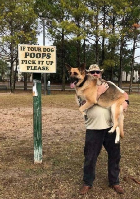 Dog Poop Pick Up.jpg