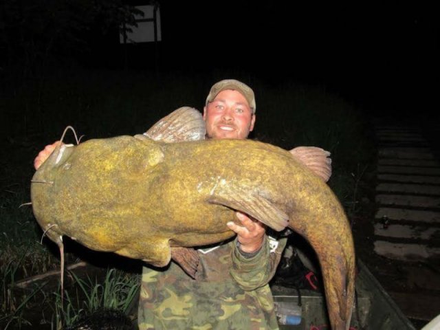 largest-flathead-catfishing-caught-in-the-south-800x600.jpg