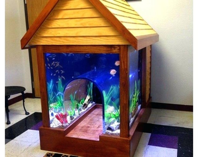 unusual fish tanks