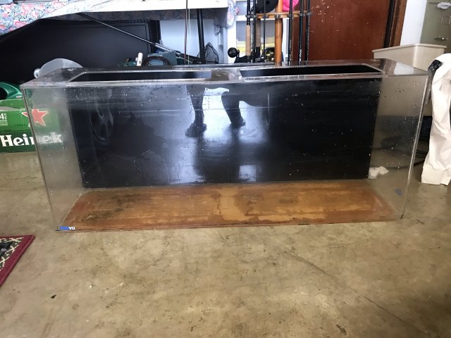 40 gallon clearance acrylic aquarium