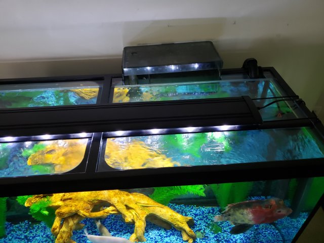 Like New 75 Gallon Marineland Aquarium Stand and Marineland