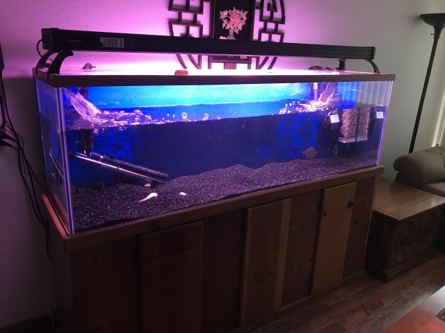 135 shop gallon aquarium