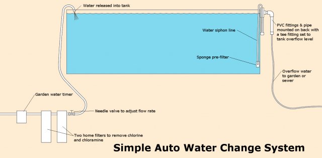 Auto Water Change 1.jpg