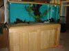 Fish Tanks017.JPG