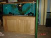 Fish Tanks007.JPG