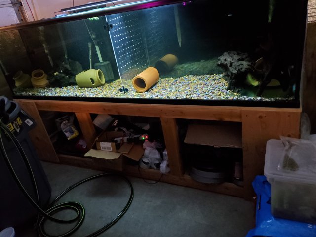 240 Gallon* Glass Aquarium