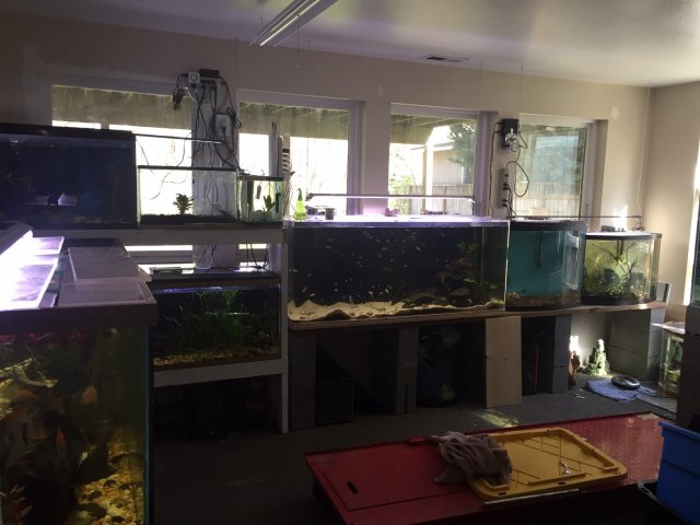 Fish_Room_Overview.jpg