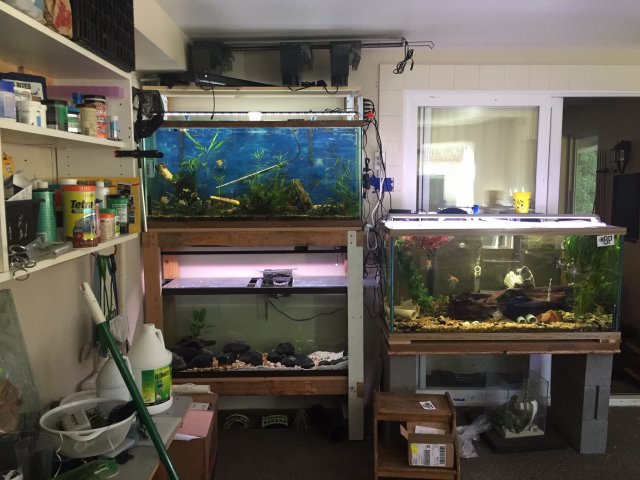 Fish_Room_Overview2.jpg