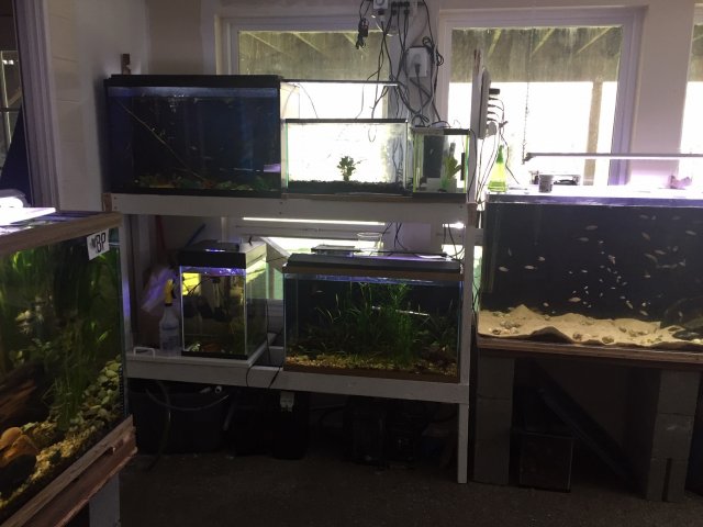 Fish_Room_Overview3.jpg