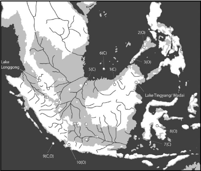 Palaeogeography-of-Sundaland-at-the-Last-Glacial-Maximum-Rivers-redrawn-from-Voris.png