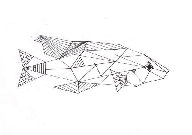 Geometric cichlid2.png