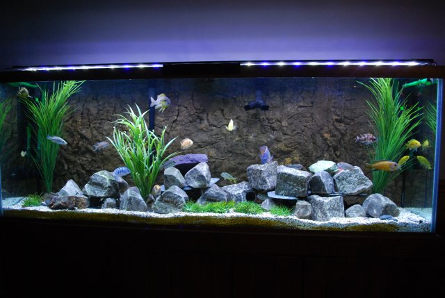 Artificial plants MonsterFishKeepers