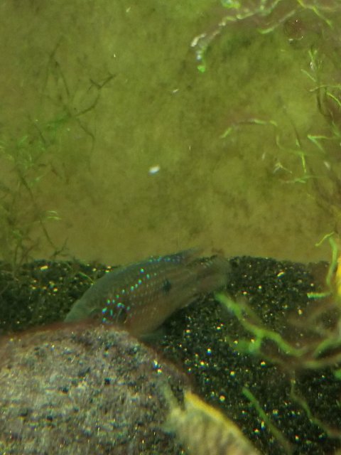20201113_083553.jpg