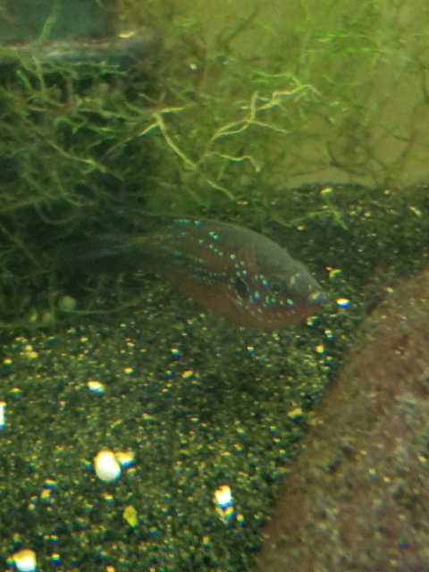 20201113_083533.jpg
