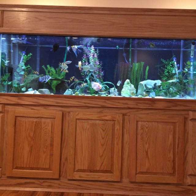 For Sale - custom aquarium stands and canopies | MonsterFishKeepers.com