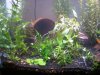 Flourite Planted Tank 2.JPG