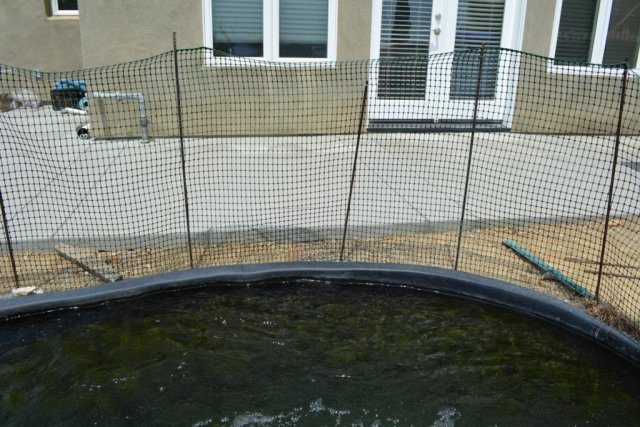 pond fence.JPG