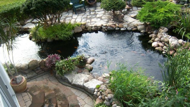 Pond from above 1.JPG