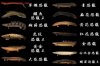 bichir chart.jpg