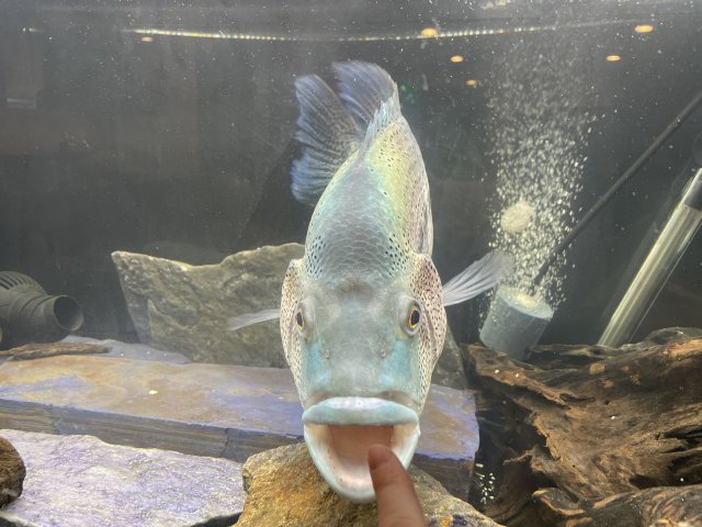 3A877901-B3C9-4654-B880-8B8AF5C0883D.jpeg