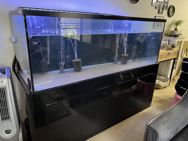 180 gallon clearance aquarium for sale