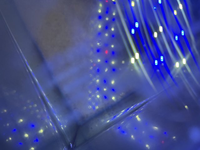 0BB12EBD-97DD-42D4-8406-D5A61901357A.jpeg