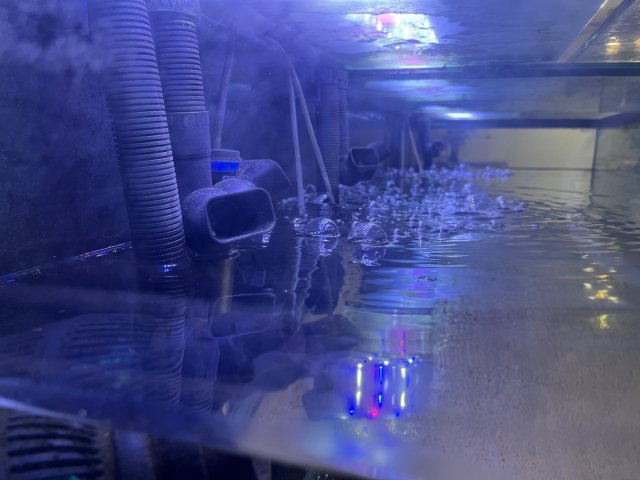 A1AB2112-9299-408E-A6E8-8653413A3F5F.jpeg