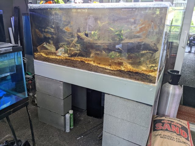 DIY Stands | MonsterFishKeepers.com