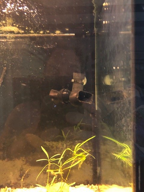 FX6 outlet 75gal.jpg