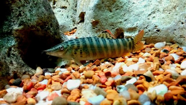 20210929_092412.jpg