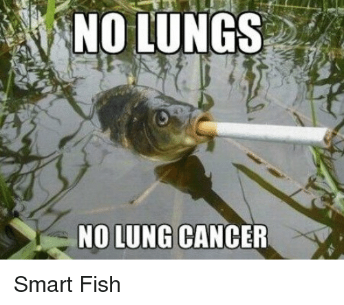 no-lungs-no-lung-cancer-smart-fish-22580323.png