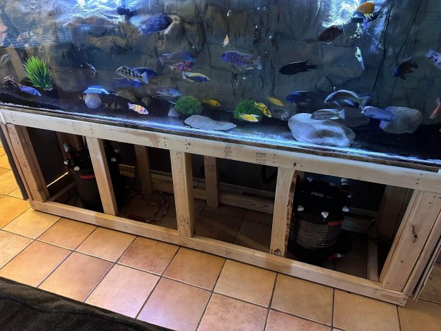 For Sale - 240 gallon acrylic with stand and 150 gallon pond ...