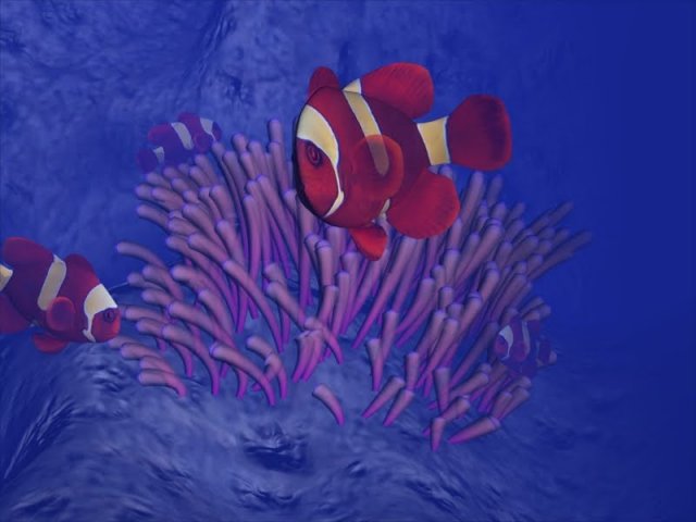 clownFishStill.jpg